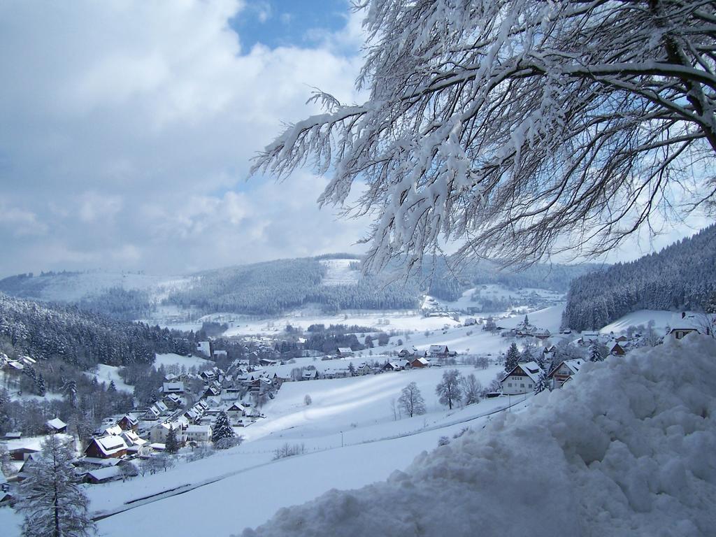 Haus Klumpp Hotel Baiersbronn Luaran gambar