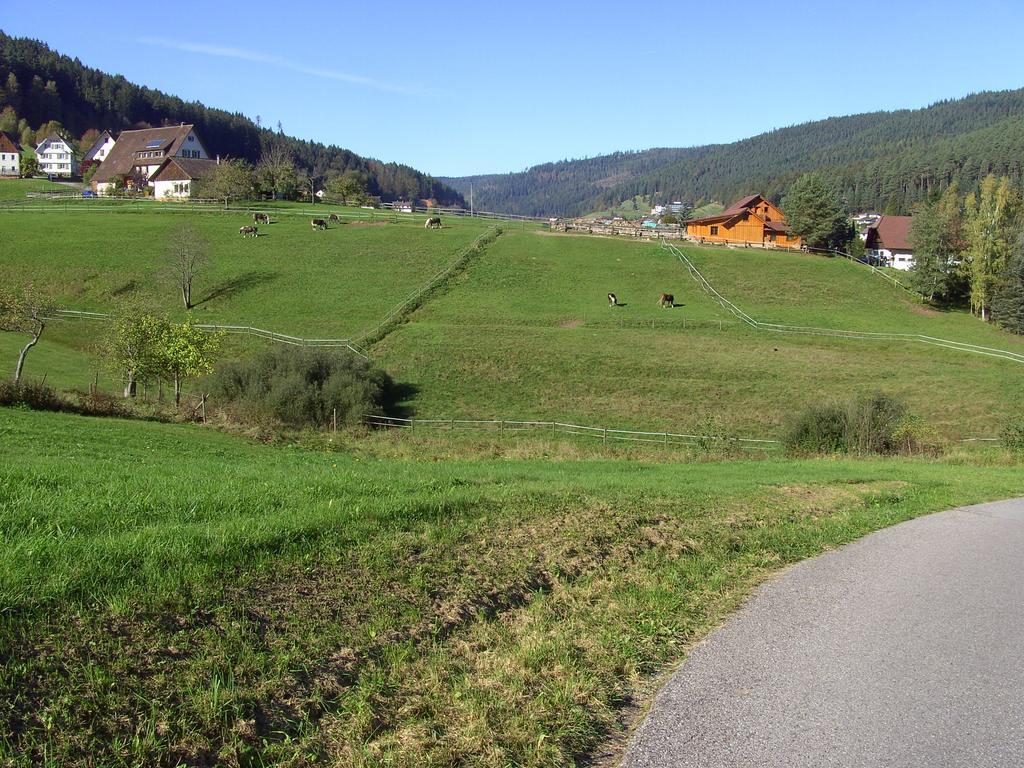 Haus Klumpp Hotel Baiersbronn Luaran gambar